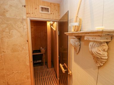 A bathroom with a sauna and shower at Curlew House in Cosheston