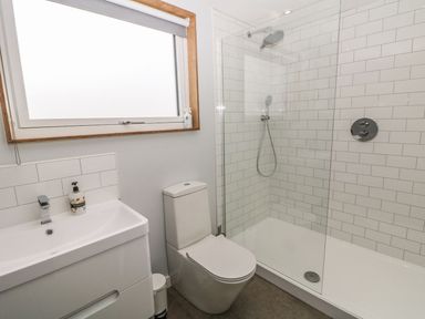 A bathroom with a sink vanity a toilet and a walk in shower at Forest Lodge in Newborough