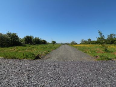A gravel driveway leading through grassy fields with bushes under a clear blue sky at Tithe Barn Capel Mawr near Malltraeth
