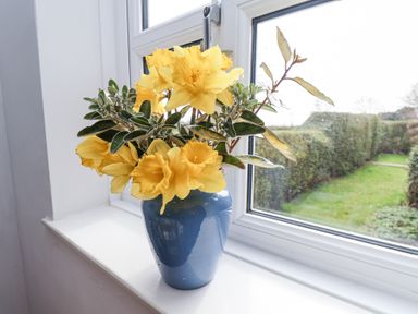A blue vase with yellow flowers on a windowsill with a view of a garden at The Barn - Poplar Farm in Lower Dunsforth near Boroughbridge