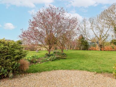 A garden with flowering tree daffodils bushes and lawn at The Barn - Poplar Farm in Lower Dunsforth near Boroughbridge