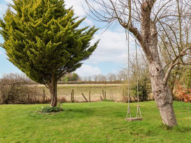 A grassy garden with a large green tree and a wooden swing hanging from a leafless tree at The Barn - Poplar Farm in Lower Dunsforth near Boroughbridge
