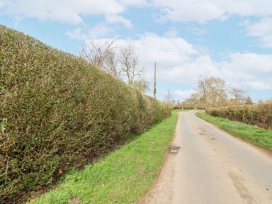 A country road bordered by trimmed hedges and grass at The Barn - Poplar Farm in Lower Dunsforth near Boroughbridge