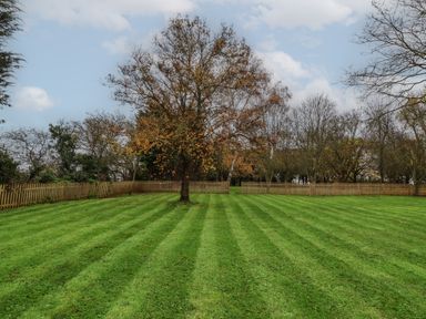 A grassy fenced garden with a lone tree and several leafless trees near Witney