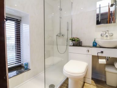 A bathroom with a glass shower enclosure a toilet and a sink with a mirror at Badgers Sett in Stibb near Kilkhampton