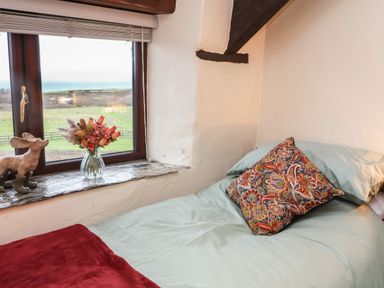 A single bed next to a window with a floral cushion and a vase of flowers on the windowsill at Badgers Sett in Stibb near Kilkhampton
