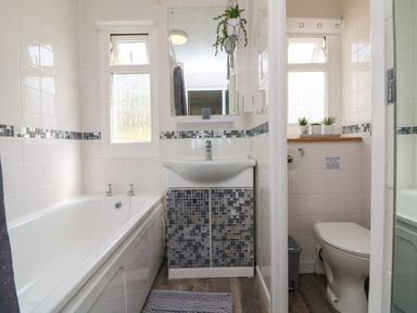 A bathroom with a bathtub sink with mosaic cabinet and a toilet with small potted plants at La Bella Vista in Kilkhampton