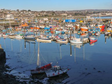 A harbor with various boats and a town in the background at The Packing House in Rosudgeon