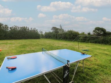An outdoor table tennis setup on grass with paddles and net surrounded by green bushes and trees