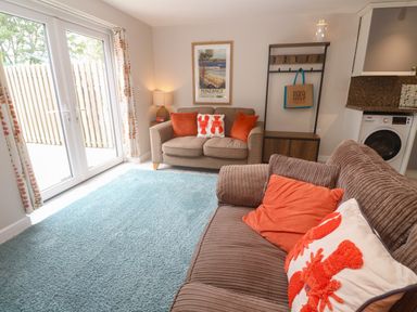A living room with a sofa and washing machine at The Packing House in Rosudgeon