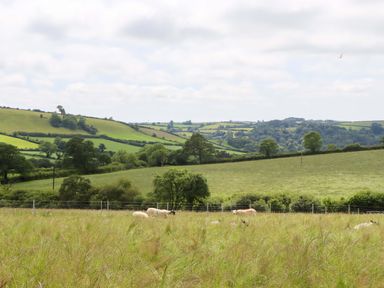 A landscape with sheep grazing in a field and hills in the background at Under Oak Pod Totnes