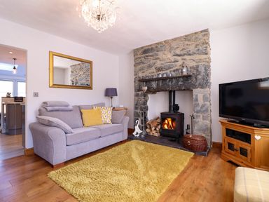A living room with a grey sofa yellow rug stone fireplace and television at Dola in Pentre Du near Betws-Y-Coed