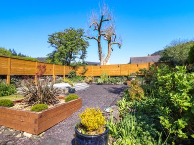 A garden with raised wooden flower beds and plants surrounded by a wooden fence at Dola in Pentre Du near Betws-Y-Coed