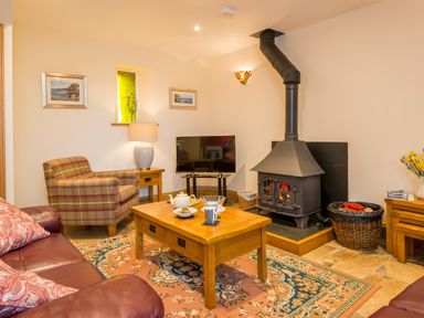 A living room with a wood stove television armchair and coffee table at Teifi Cottage Cardigan Near Cenarth