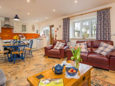 An open plan kitchen and living room with a dining table and blue chairs leather armchairs and sofa a wooden coffee table with flowers and teapot on it at Cych Cottage Cardigan Near Cenarth