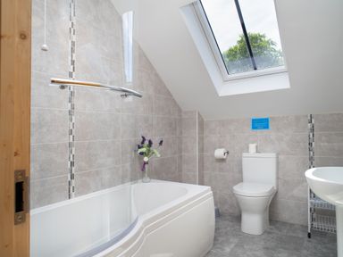 A bathroom with a bathtub a shower screen a toilet a sink and a skylight window at Cych Cottage in Cardigan Near Cenarth