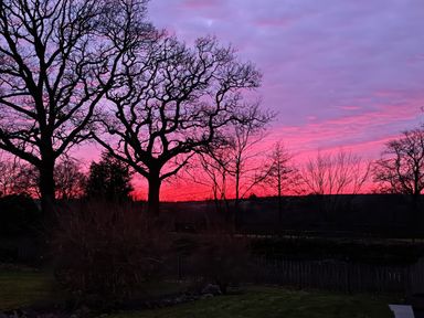 Leafless trees in front of a colorful sky at sunset