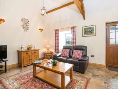 A living room with a leather sofa a wooden coffee table a cabinet a television and a red patterned rug at Gwaun Cottage Cardigan Near Cenarth