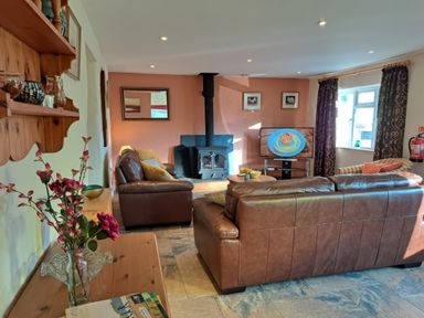 A living room with brown leather sofas a wood stove a television and a shelf with decorations at Cothi Cottage in Cardigan Near Cenarth