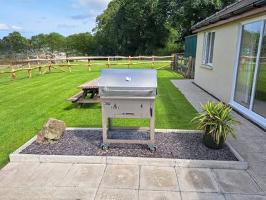 An outdoor patio area with a stainless steel barbecue grill a wooden picnic table on grass and a potted plant at Cothi Cottage Cardigan Near Cenarth