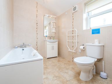 A bathroom with a bathtub a sink with mirror a toilet and a grab rail at Hirwaun Cottage in Cardigan Near Cenarth