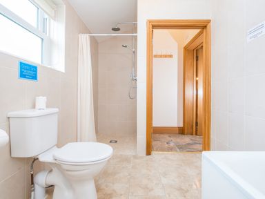 A bathroom with a toilet shower with curtain and wood framed door at Hirwaun Cottage in Cardigan Near Cenarth