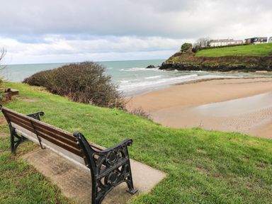 A bench on grass overlooking a sandy beach and ocean with houses on a grassy hill nearby at Hirwaun Cottage in Cardigan Near Cenarth