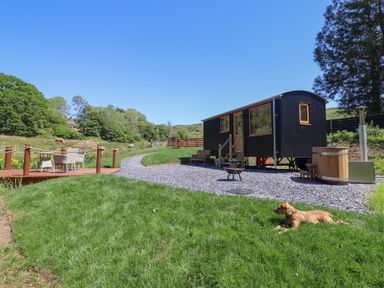 A small black cabin on wheels with steps and a bench near a wooden hot tub and a dog lying on grass at Celyn in Bontddu near Dolgellau