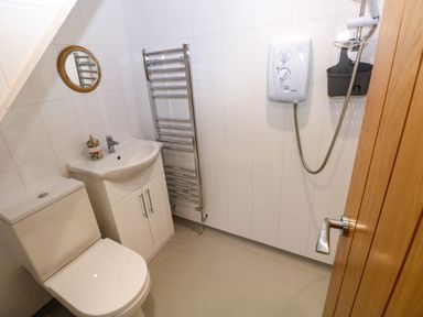 A bathroom with a toilet, sink with cabinet, wall-mounted mirror, heated towel rail, and shower at Orchard View in Pembroke
