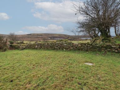 A grassy garden area with a low stone wall and leafless trees at Poldue House in Watergate near Camelford