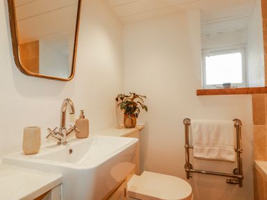 A bathroom with sink, toilet, mirror and plant at Roughtor Barn Poldue near Camelford