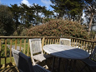 A wooden outdoor table with four wooden chairs on a deck surrounded by trees and bushes at Northern Lights in Polzeath