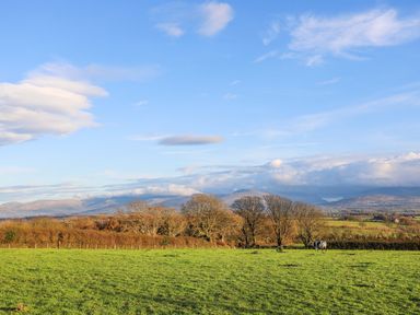 A green field with a cow and trees under a blue sky at Cwrt in Dwyran near Niwbwrch Newborough