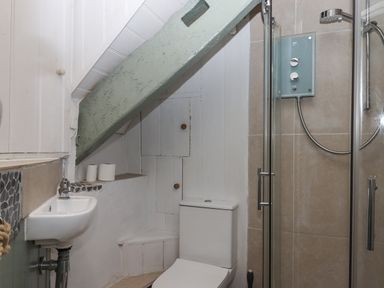 A bathroom with a toilet a small sink a glass shower enclosure and storage cabinets under a slanted ceiling at Alpha Cottage in Dittisham near Dartmouth
