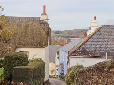 A street with houses with thatched and tiled roofs and hedges along the path at Alpha Cottage in Dittisham near Dartmouth