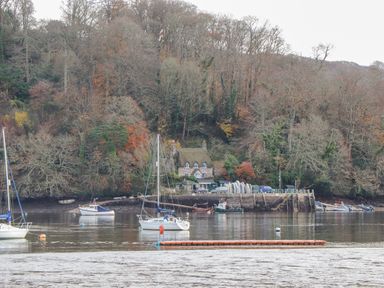 Sailboats and small boats on a body of water with a dock and a house surrounded by trees at Alpha Cottage in Dittisham near Dartmouth