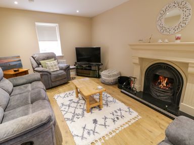 A living room with grey sofas a wooden coffee table a patterned rug a fireplace and a television at Dock at Dominic's in Ballyheerin near Downings
