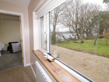 A window with a whale ornament on the sill overlooking a gravel path and trees near water at Dock at Dominic's in Ballyheerin near Downings