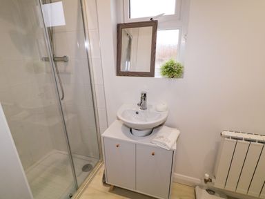 A bathroom with a glass shower enclosure a small sink on a cabinet a mirror and a decorative plant at Dock at Dominic's in Ballyheerin near Downings