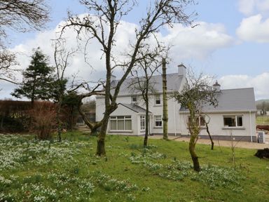 A white house with a grey roof surrounded by grass and several leafless trees at Dock at Dominic's Ballyheerin near Downings
