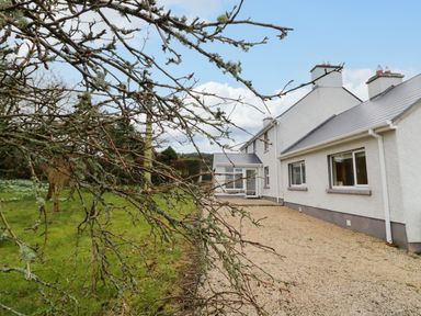 A white house with a gravel driveway and a leafless tree in the foreground at Dock at Dominic's Ballyheerin near Downings