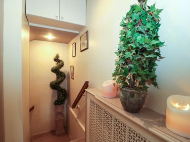 A stairway with a spiral topiary plant and framed pictures on the wall at Tree Tops in Broadway