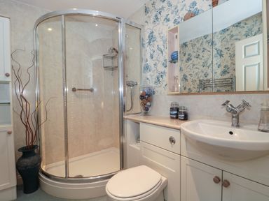 A bathroom with a shower enclosure toilet sink and mirrored cabinet at Tree Tops in Broadway