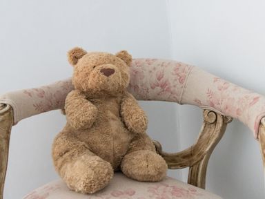A teddy bear sitting on a floral upholstered wooden chair at Amy Cottage in West Lulworth
