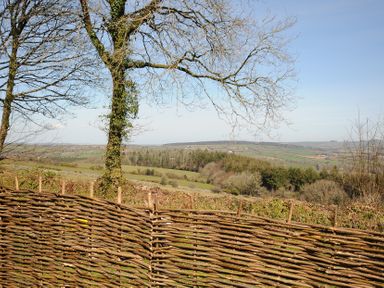 A woven wooden fence with trees and rolling hills in the background at Rose Cottage in Callington