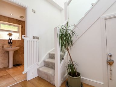 A hallway with a small staircase next to a potted plant and a bathroom with a pedestal sink in the background at Buzzards View in Dyserth