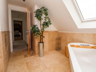 A bathroom with a freestanding bathtub a large potted plant and a skylight window at Buzzards View in Dyserth