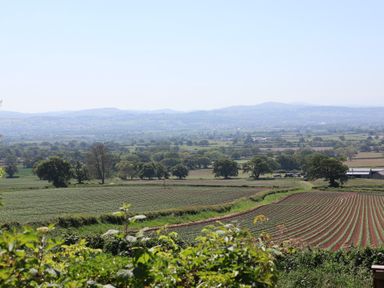A rural landscape with farmland trees and hills in the distance at Buzzards View in Dyserth
