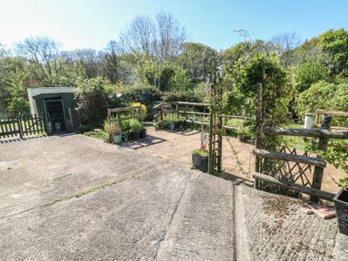A garden area with wooden fencing potted plants and a shed surrounded by trees at Chapel Hill House Chapel Hill near Pembroke