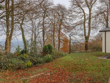 A garden area with fallen leaves and trees beside a white building at 5 Manor Park in Bucks Cross Bideford